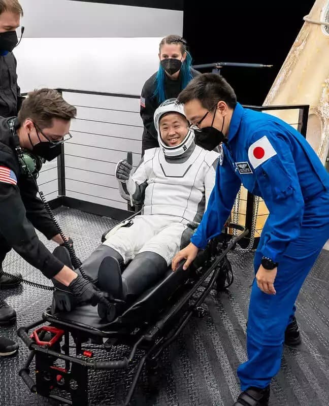wakata